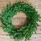24” Just Cut Spruce Wreath Fresh, Lush & Perfect for Holiday Decor